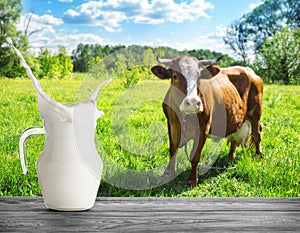 Splash of milk in jug against background of cow in meadow