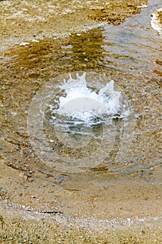 Splash produced in middle of pond with clear water