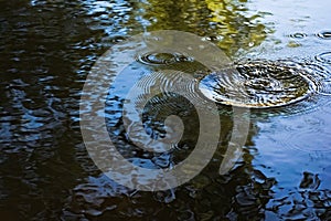 Splash and ripples on calm, clear water of a pond with reflections of trees