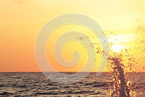 Splash of sea wave at sunset