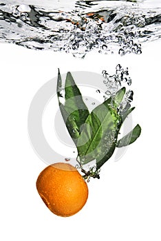 Splash of tangerine to water