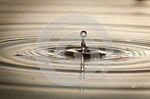 Splash From Water Droplets Falling Into A Pond At Sunset