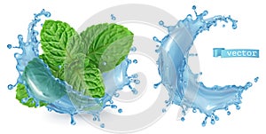 Splash water and mint. 3d vector