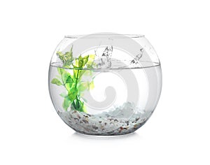 Splash of water in round fish bowl with decorative plant and pebbles on background
