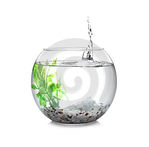 Splash of water in round fish bowl with decorative plant and pebbles on background