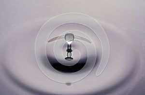 Splashdown of a droplet bouncing back from the surface