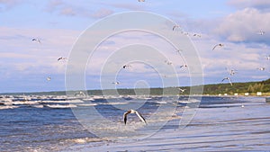 Splashes of water from the waves in the sea.