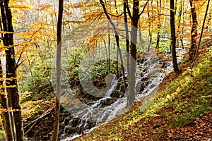 Splashing cascading waterfall in an autumn forest