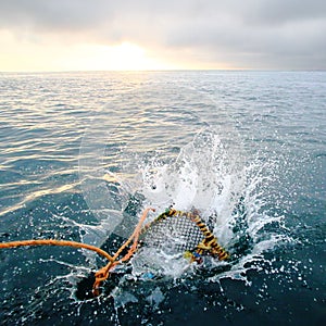 Splashing creel in the sea at dawn