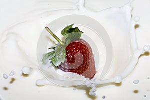 Splashing strawberry into a milk