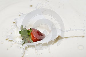 Splashing strawberry into a milk