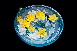 Splashing Water in Blue Bowl With Flowers