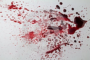 Splattered blood stain on white background - photo