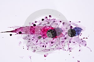 Splattered and Crushed Blackberries and Pips