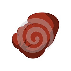 Spleen icon, flat style