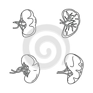Spleen milt anatomy icons set, outline style