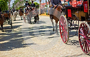 splendid horses with their carriages stroll happily through the streets of Seville\'s Feria de Abri