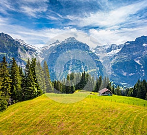 Splendid morning view of Grindelwald village valley from cableway. Wetterhorn and Wellhorn mountains, located west of