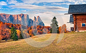 Splendid outdoor scene in Alpe di Siusi mountain plateau with beautiful yellow larch trees. Colorful autumn morning in Dolomite Al