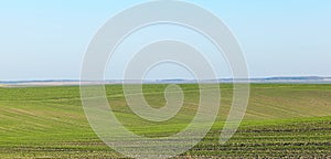 Splendid photography of green wavy field in sunny day. Agricultural area of Ukraine, Europe. Concept of agrarian industry.