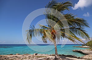 The splendid sea of the Bay of Pigs, Cuba photo