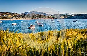 Splendid spring view of the Nuevo Loca Beach. Sunny morning seascape of the Aegean sea, Palaia Fokaia location, Greece, Europe.