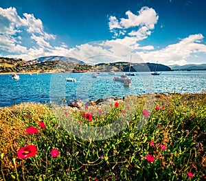 Splendid spring view of the Nuevo Loca Beach. Sunny morning seascape of the Aegean sea, Palaia Fokaia location, Greece, Europe.