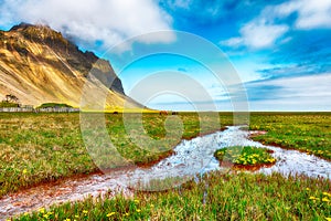 Splendid sunny day and gorgeous meadow near Vestrahorn mountaine on Stokksnes cape in Iceland