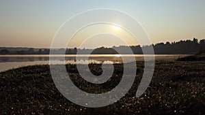 Splendid Sunset on a Lake Bank With an Orange Sun, Smooth Urface and Greenery.,