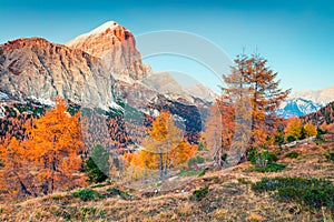 Splendid view from top of Falzarego pass with Lagazuoi mountain range. Colorful autumn morning in Dolomite Alps, Cortina di Ampezz