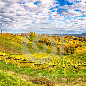 Splendid vineyards landscape in South Styria near Gamlitz