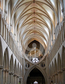 The Splendor Of The Vaulted Ceiling At Wells Cathedral