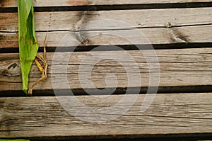 Spliced wooden planks are laid on the ground as architectural decorations in tourist attractions