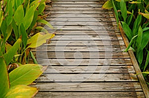 Spliced wooden planks are laid on the ground as architectural decorations in tourist attractions