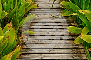 Spliced wooden planks are laid on the ground as architectural decorations in tourist attractions