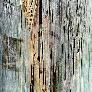 Splintered wood photo