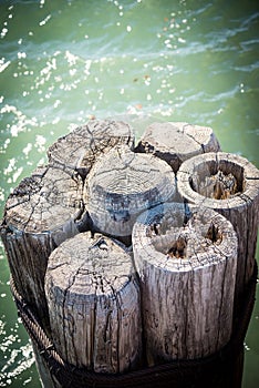 Splintered wood dock posts submerged in green water of Lake Michigan