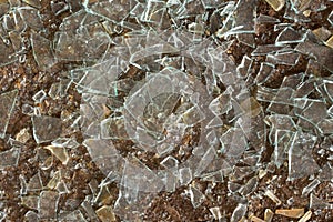 Splinters of glass photo