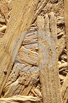 Splinters of pressed wood on sand photo