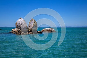 Split apple rock with seagull on top next to Kaiteriteri beach,