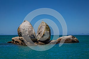 Split apple rock with seagull on top next to Kaiteriteri beach, New Zealand