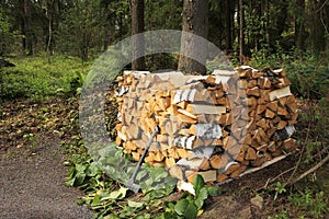 Split birch firewood stacked