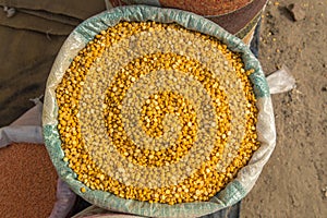 Split Chickpea, Chana Dal, Dried Chickpea Lentils or Toor Dal in a burlap bag