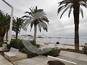 Split city riva Croatia palm trees sea vacation Mediteran relax ships cloudy day photo