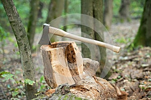 Split and cut. Large axe in stump. Splitting axe on natural landscape. Lumbermans equipment. Tree chopping. Forestry