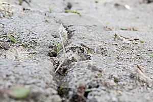 Split ground after rain. Crack in the sandy surface