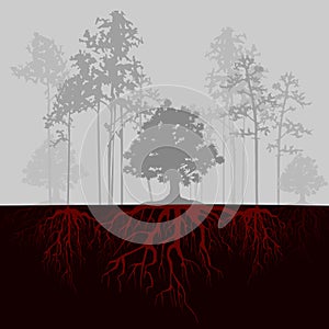 Split illustration with trees and red roots. Fog in forest