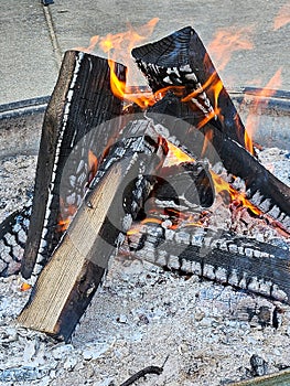 Split Logs Burning In A Firepit