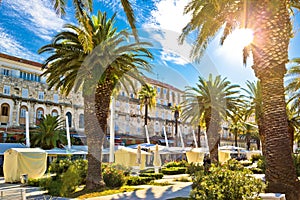 Split main waterfront walkway palms and architecture