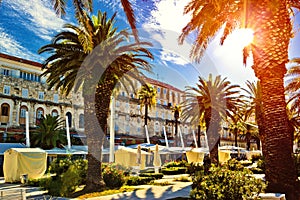 Split main waterfront walkway palms and architecture